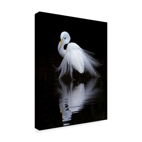 Ben Li 'Watching White Bird' Canvas Art,24x32